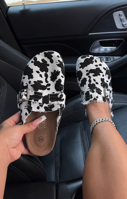 everyday clogs